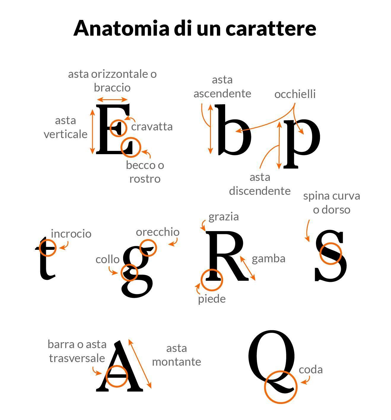 Anatomia di un carattere tipografico 3