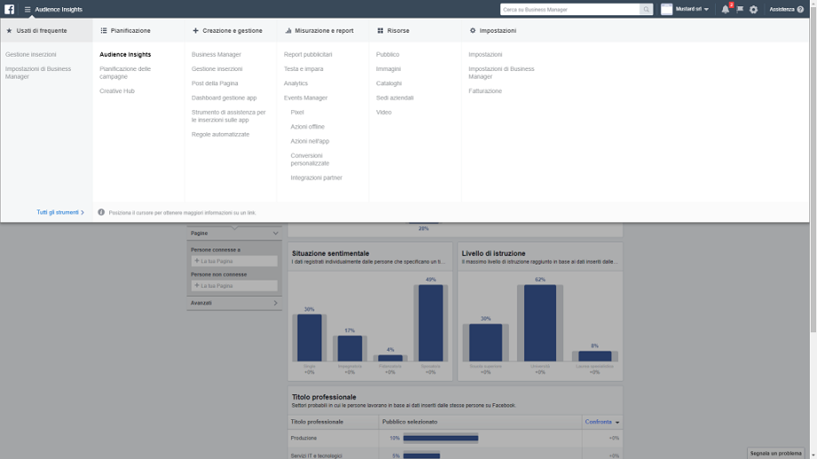 Business Manager Facebook Audience Insights