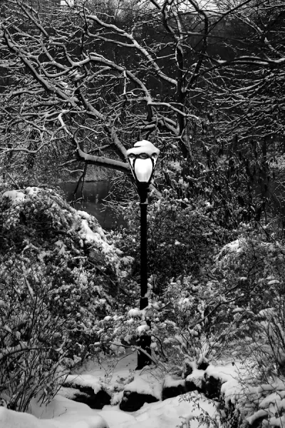 lamppost at dusk central park