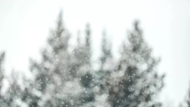 snow photography 2