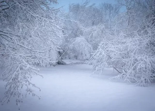 snow photography tips a beginners guide