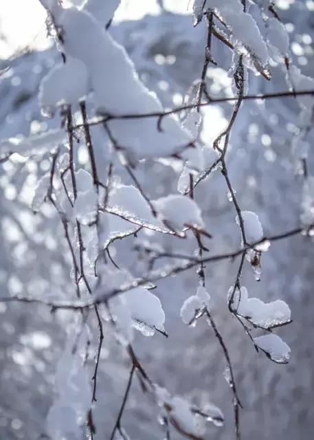 snow photography tips for beginners